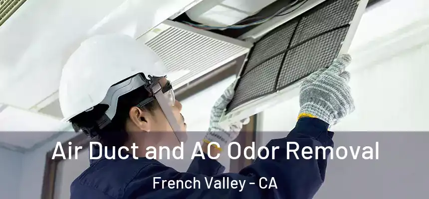  Air Duct and AC Odor Removal French Valley - CA