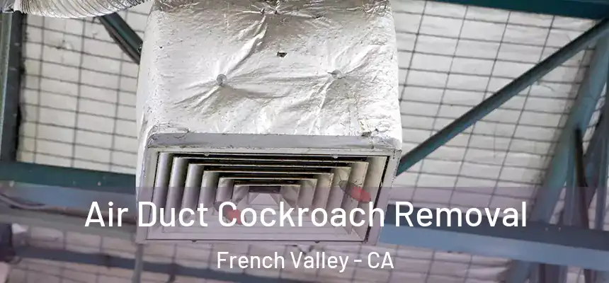  Air Duct Cockroach Removal French Valley - CA