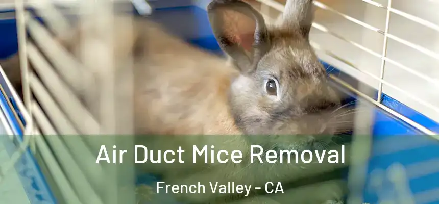  Air Duct Mice Removal French Valley - CA