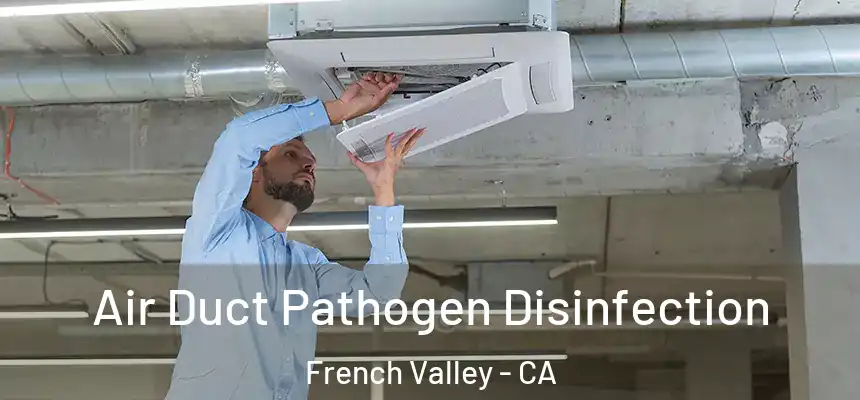  Air Duct Pathogen Disinfection French Valley - CA