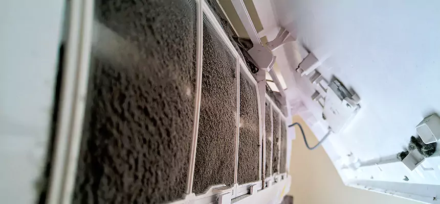 Preventive Air Duct Bacteria Removal in French Valley