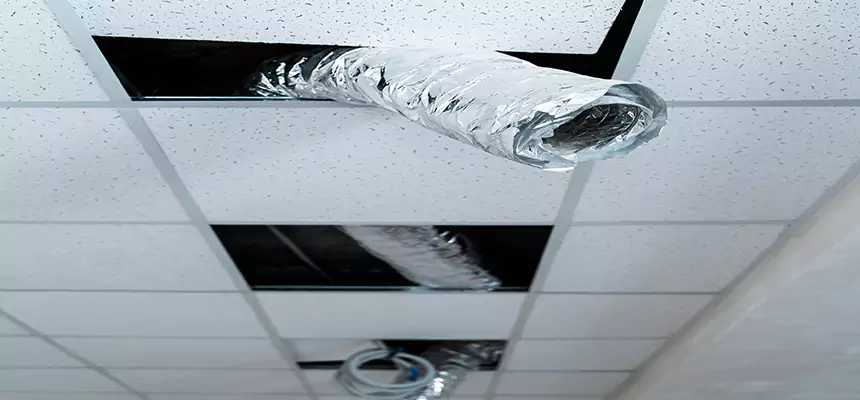 Affordable HVAC Sanitizing After Pest Removal in French Valley