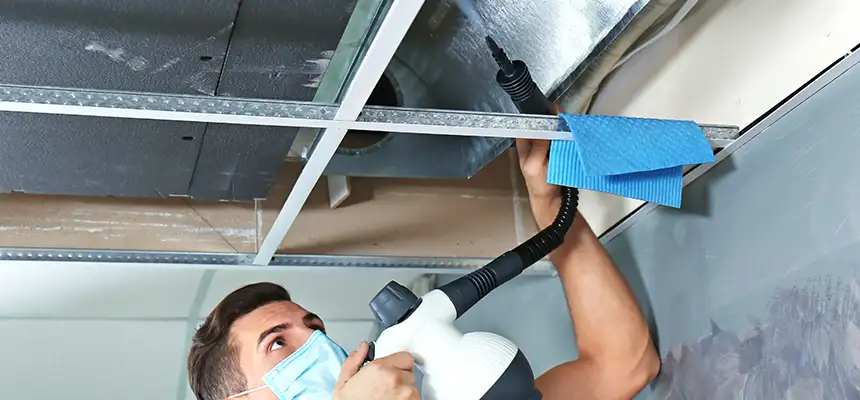 Our Air Duct Rodent Removal Services in French Valley, CA