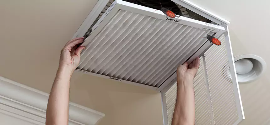 Our Insect Removal from Air Ducts Services in French Valley, CA