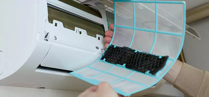 Gentle Ductwork Odor-Control Pet Dander Duct Cleaning in French Valley, CA