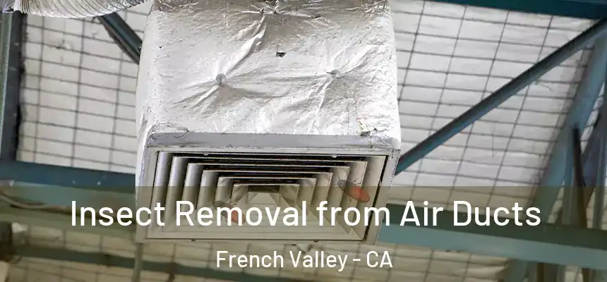 Insect Removal from Air Ducts French Valley - CA