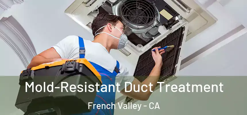  Mold-Resistant Duct Treatment French Valley - CA