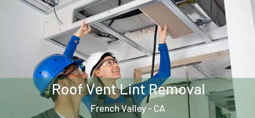  Roof Vent Lint Removal French Valley - CA
