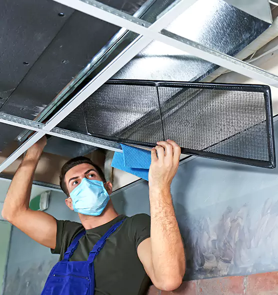 About Air Duct Bacteria Removal in French Valley