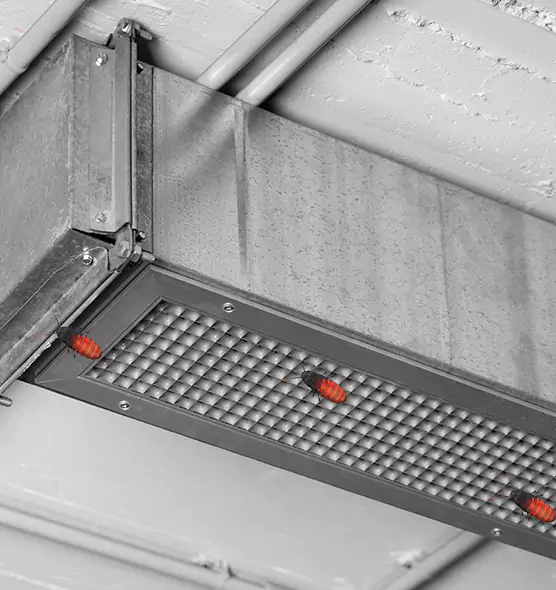 Affordable Insect Removal from Air Ducts in French Valley, CA