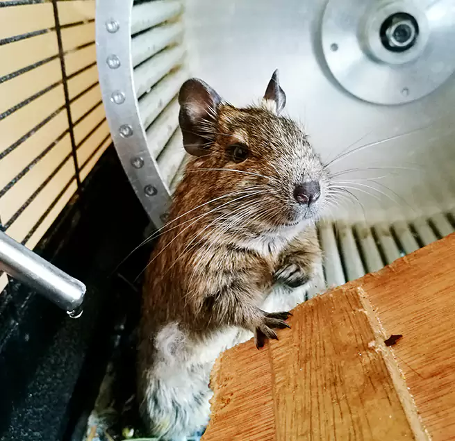 Why Homeowners & Businesses Trust Us French Valley, CA