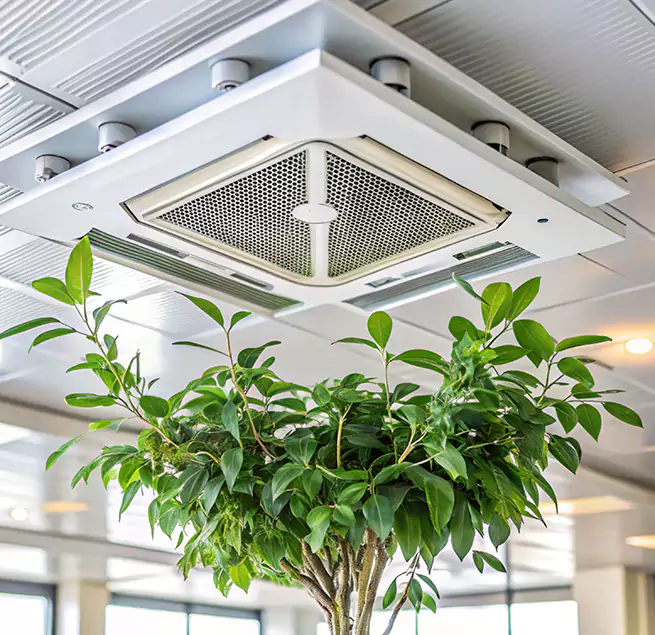 Why Homeowners & Businesses Trust Us in French Valley, CA?